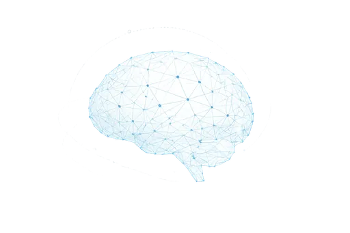 brain
